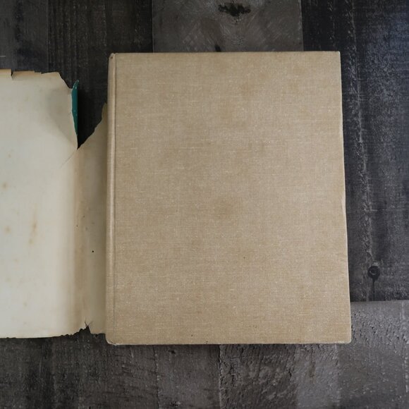 Complete Book of Woodworking by Rosario Capotosto 1978 A Popular Science Book - Picture 3 of 7